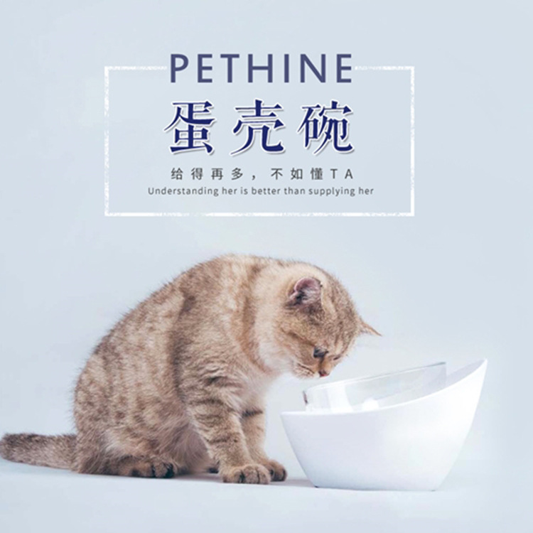 PETHINE貓碗斜口碗淺口貓碗食盆防滑防溢蛋殼碗斗牛寵物狗碗